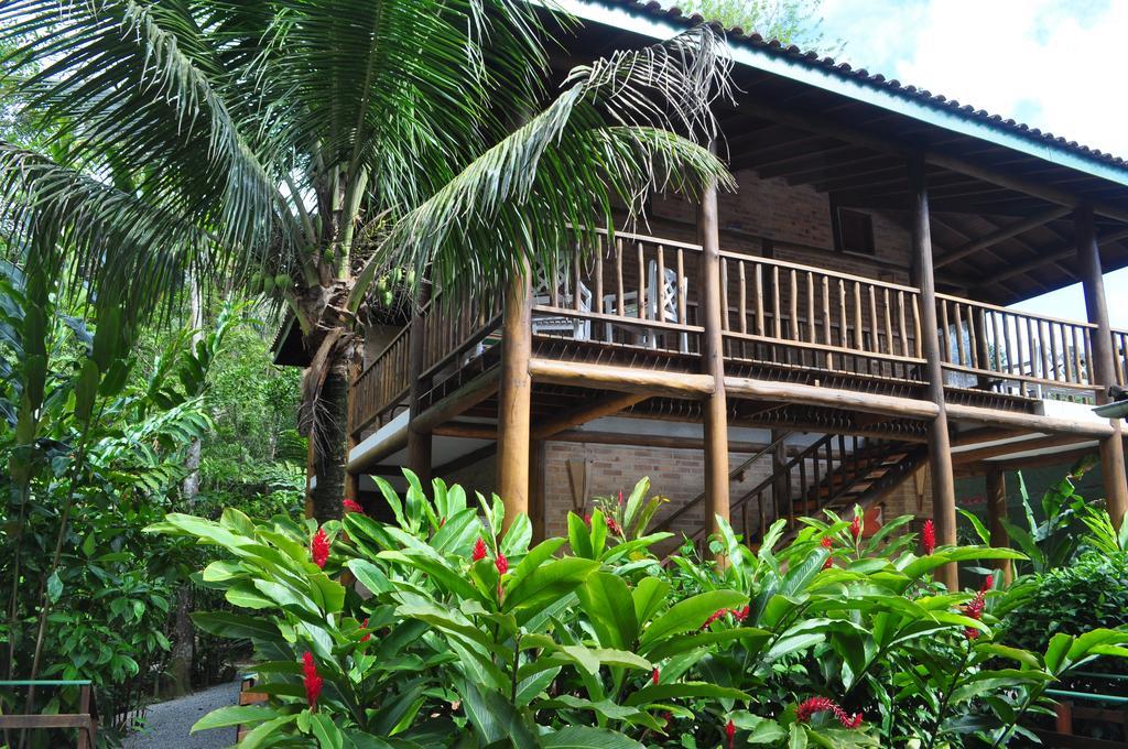 Pousada Marambáia Sao Sebastiao (Sao Paulo) Exterior foto